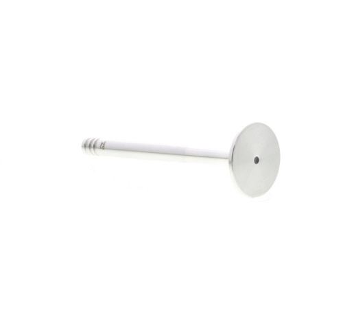 Soupape d'échappement MAHLE Aftermarket 029VA30499100