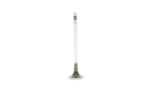 Soupape d'échappement MAHLE Aftermarket 029VA31101100