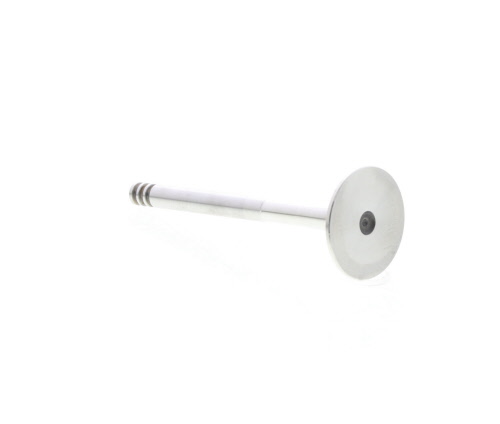 Válvula de escape MAHLE Aftermarket ref. 029VA31103100