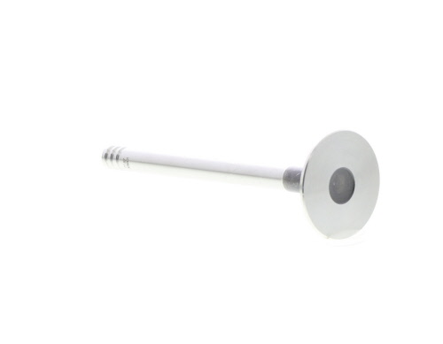 Soupape d'admission MAHLE Aftermarket 029VE30880100
