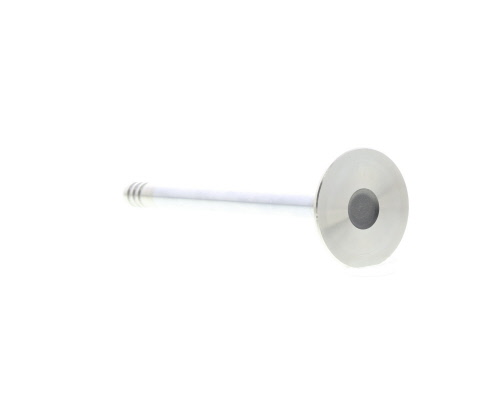 Válvula de escape MAHLE Aftermarket ref. 031VA30589100