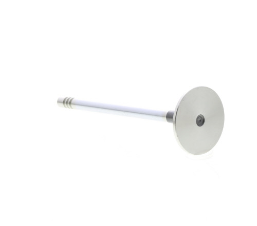 Válvula de escape MAHLE Aftermarket ref. 031VA31051100