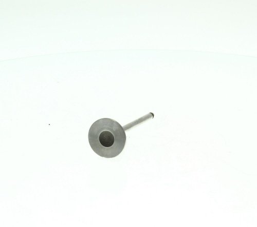 Soupape d'admission MAHLE Aftermarket 031VE30319000