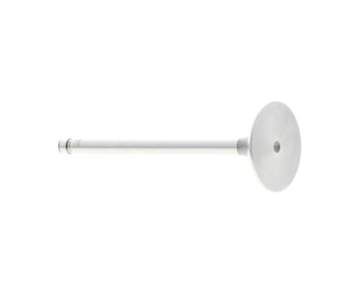 Soupape d'admission MAHLE Aftermarket 031VE30578000