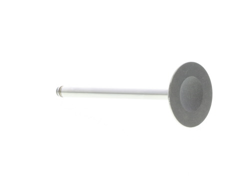 Válvula de admisión MAHLE Aftermarket ref. 031VE30596000