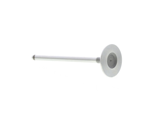 Soupape d'admission MAHLE Aftermarket 031VE31044000