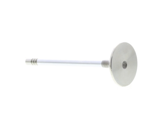 Válvula de admisión MAHLE Aftermarket ref. 031VE31050000