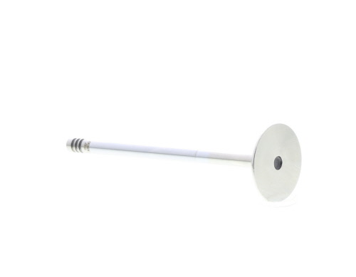 Válvula de escape MAHLE Aftermarket ref. 081VA30503000