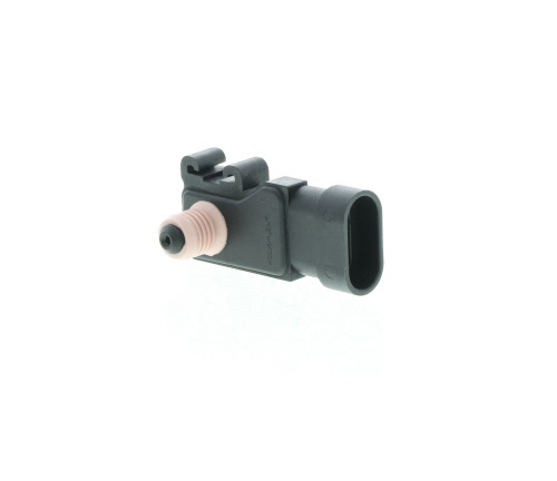 Butée hydraulique Coupé