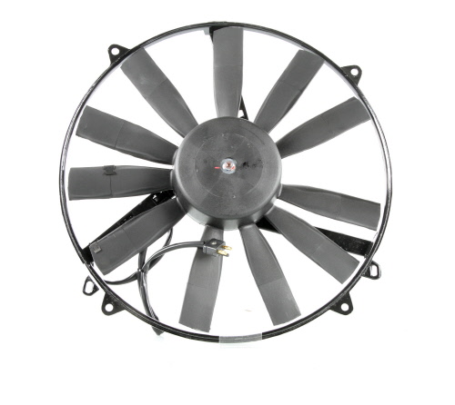 Butée hydraulique Coupé