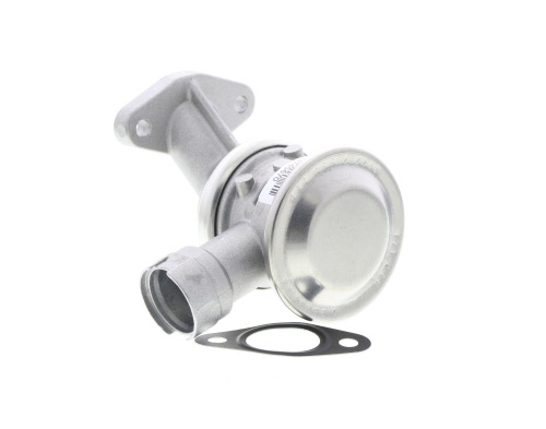 Butée hydraulique Coupé