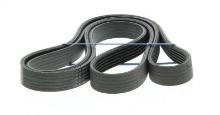 CONTITECH 6PK1750