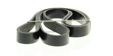 DAYCO  6PK1395S
