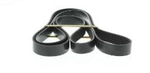 DAYCO  6PK1744