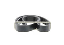 DAYCO 6PK850