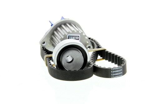 Courroie de distribution phrase Pompe à eau SKF VKMC 01918-1