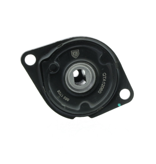 Galet tendeur de courroie d'accessoire QUINTON HAZELL QTA1208S