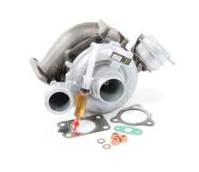 Turbo's Hoet 1101346