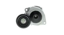 SKF VKM 63010