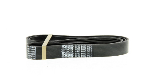 Courroie trapézoïdale à nervures DAYCO 8PK1480HD