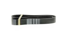 DAYCO 8PK1480HD