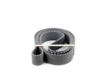 DAYCO  94866
