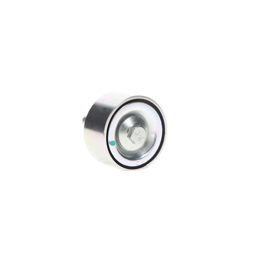 Galet enrouleur de courroie d'accessoire DAYCO APV1085