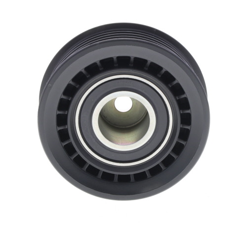 Galet enrouleur de courroie d'accessoire DAYCO APV2093