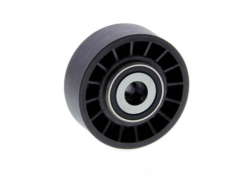Galet enrouleur de courroie d'accessoire DAYCO APV2165