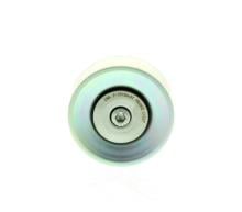 DAYCO APV2421