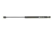 MAGNETI MARELLI 430719025600