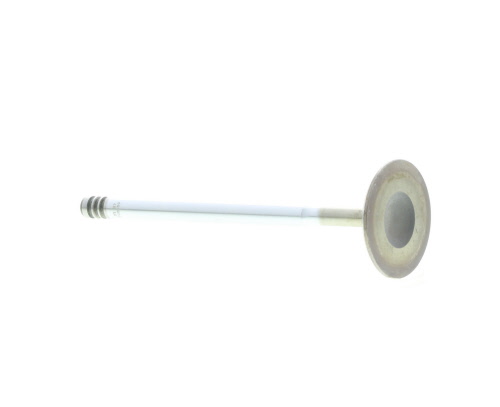 Válvula de admisión MAHLE Aftermarket ref. 013VE30806000