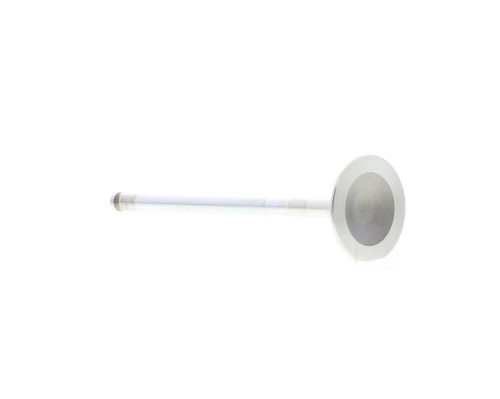 Válvula de escape MAHLE Aftermarket ref. 039VA30977100