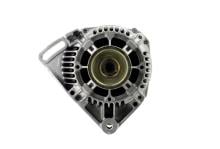 CEVAM 4019