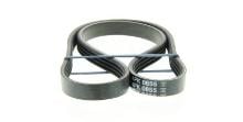 DAYCO  4PK855