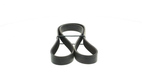 Courroie trapézoïdale à nervures DAYCO 6PK1173