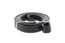 DAYCO 7PK2842