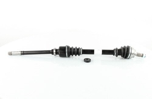 Butée hydraulique Coupé