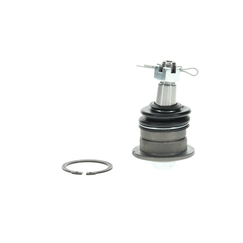 Rotule de suspension (Rotule de pivot) HERTH+BUSS JAKOPARTS ref. J4980503