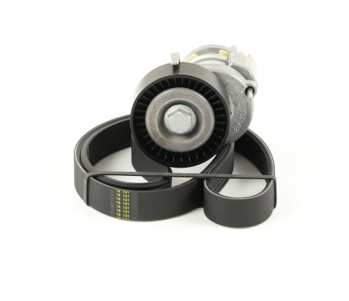 Kit de courroie d'accessoire SKF VKMA 31025