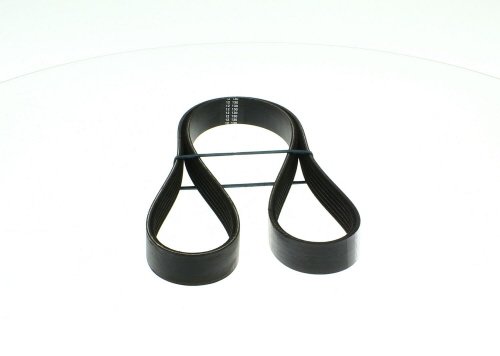 Correia trapezoidal estriada SKF ref. VKMV 6SK1090