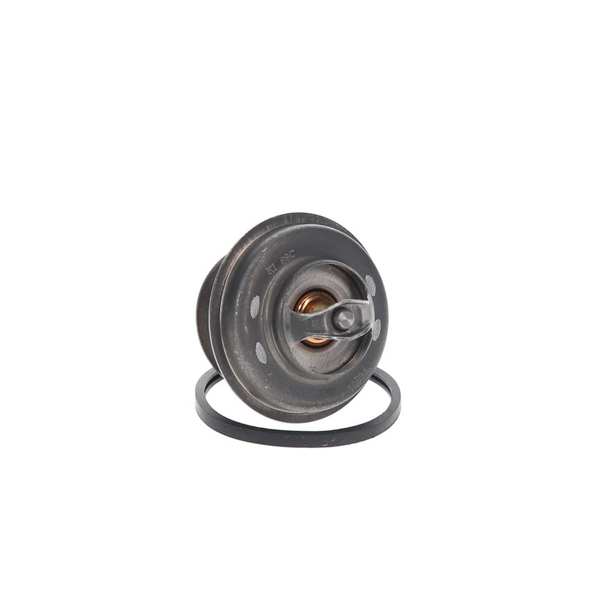 Thermostat d'eau (Calorstat) SASIC ref. 4000356