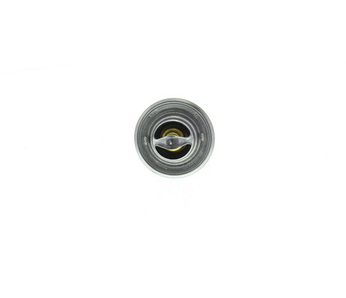 Thermostat d'eau (Calorstat) FEBI BILSTEIN ref. 17908