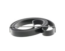 DAYCO 5PK1650