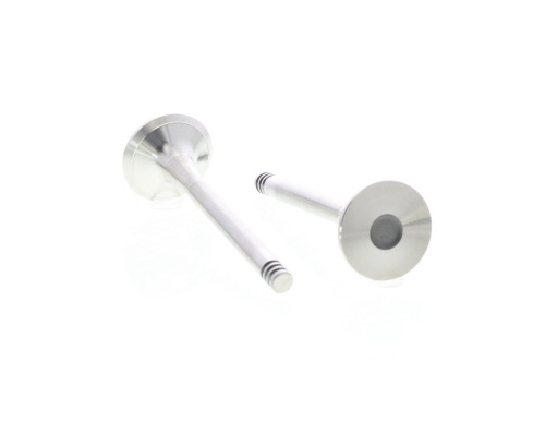 Butée hydraulique Coupé