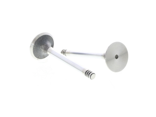 Soupape d'admission CORTECO 550837B