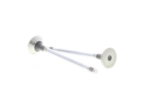 Soupape d'échappement CORTECO 551782B