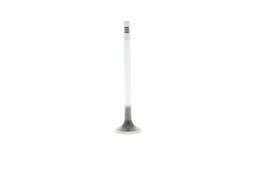 Soupape d'échappement MAHLE Aftermarket 029 VA 31101 100