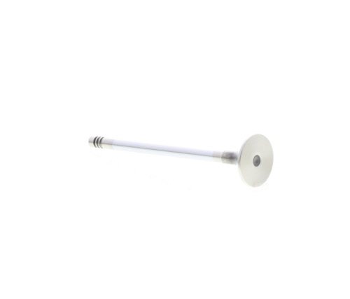 Soupape d'échappement MAHLE Aftermarket 031 VA 31057 000