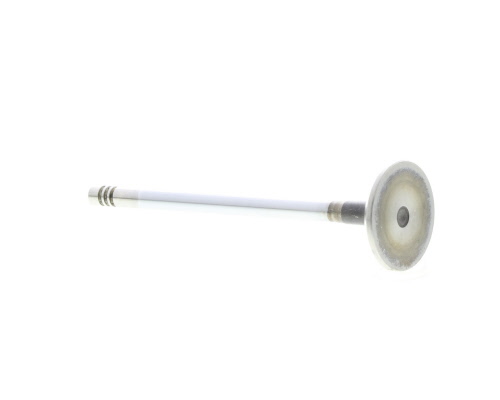 Soupape d'admission MAHLE Aftermarket 031 VE 31056 000